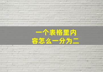 一个表格里内容怎么一分为二