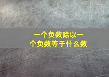 一个负数除以一个负数等于什么数