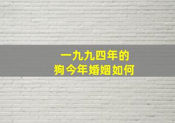 一九九四年的狗今年婚姻如何