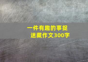 一件有趣的事捉迷藏作文300字