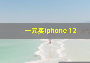 一元买iphone 12