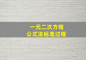 一元二次方程公式法标准过程