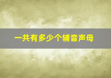 一共有多少个辅音声母