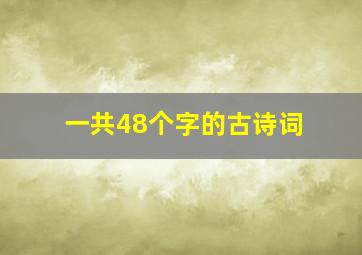 一共48个字的古诗词