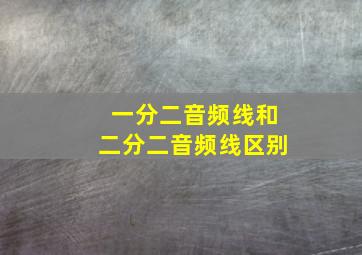 一分二音频线和二分二音频线区别