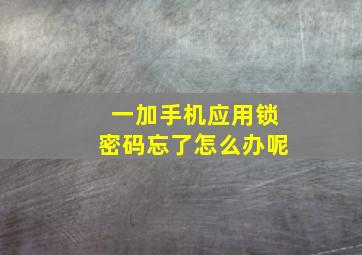 一加手机应用锁密码忘了怎么办呢