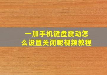 一加手机键盘震动怎么设置关闭呢视频教程