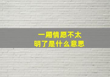 一厢情愿不太明了是什么意思