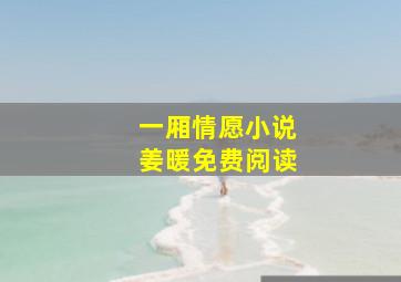 一厢情愿小说姜暖免费阅读