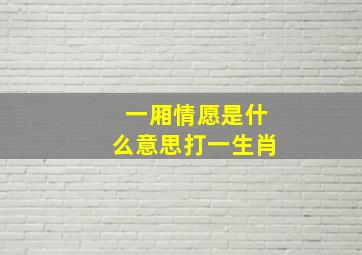 一厢情愿是什么意思打一生肖