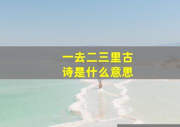 一去二三里古诗是什么意思