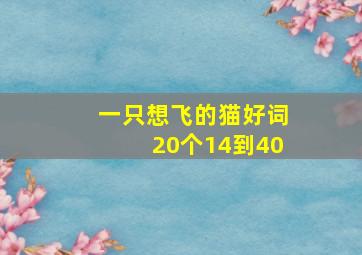 一只想飞的猫好词20个14到40