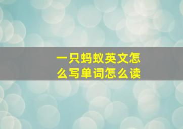 一只蚂蚁英文怎么写单词怎么读