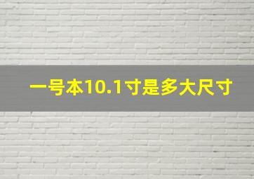 一号本10.1寸是多大尺寸