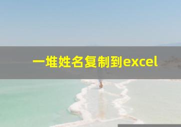 一堆姓名复制到excel