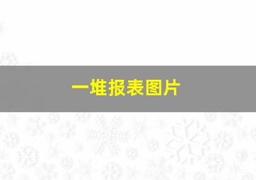 一堆报表图片