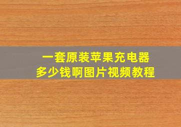 一套原装苹果充电器多少钱啊图片视频教程