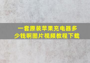 一套原装苹果充电器多少钱啊图片视频教程下载