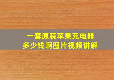 一套原装苹果充电器多少钱啊图片视频讲解