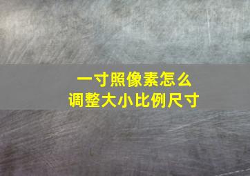 一寸照像素怎么调整大小比例尺寸