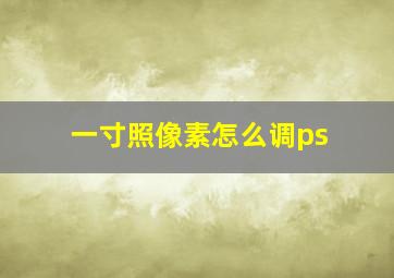 一寸照像素怎么调ps