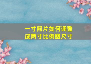 一寸照片如何调整成两寸比例图尺寸