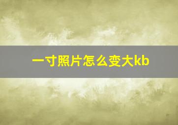 一寸照片怎么变大kb