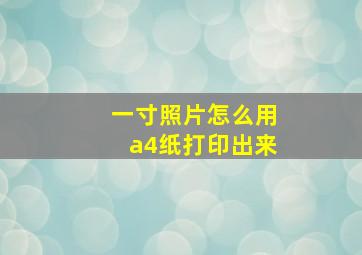 一寸照片怎么用a4纸打印出来