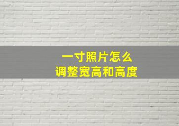 一寸照片怎么调整宽高和高度