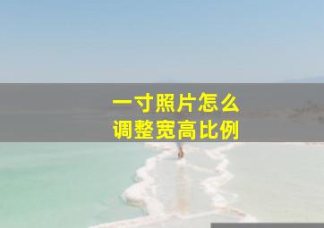 一寸照片怎么调整宽高比例