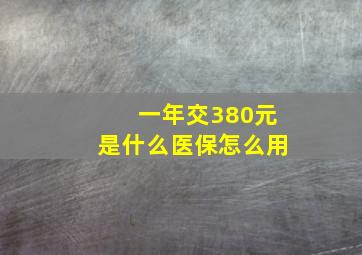 一年交380元是什么医保怎么用