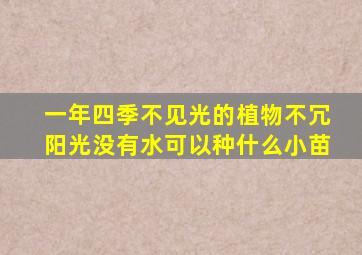 一年四季不见光的植物不冗阳光没有水可以种什么小苗