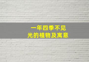 一年四季不见光的植物及寓意