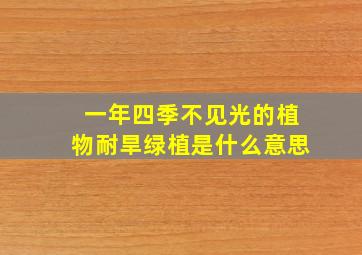 一年四季不见光的植物耐旱绿植是什么意思