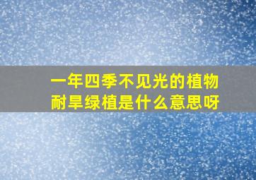 一年四季不见光的植物耐旱绿植是什么意思呀