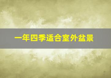 一年四季适合室外盆景