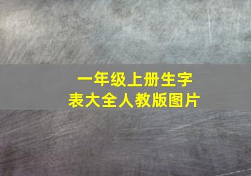 一年级上册生字表大全人教版图片