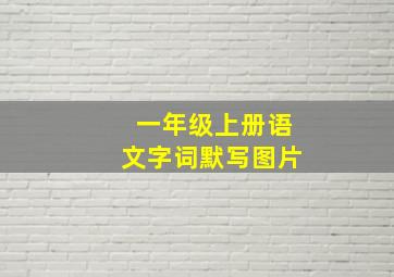 一年级上册语文字词默写图片