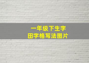 一年级下生字田字格写法图片