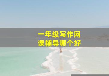 一年级写作网课辅导哪个好