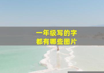 一年级写的字都有哪些图片