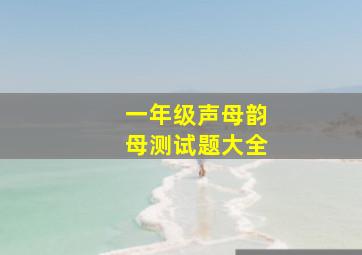 一年级声母韵母测试题大全