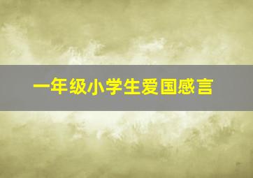 一年级小学生爱国感言