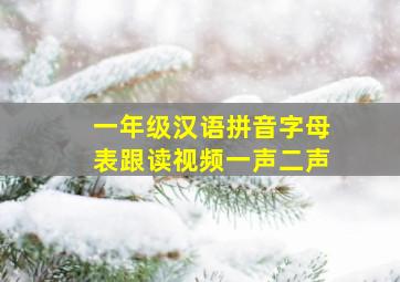 一年级汉语拼音字母表跟读视频一声二声