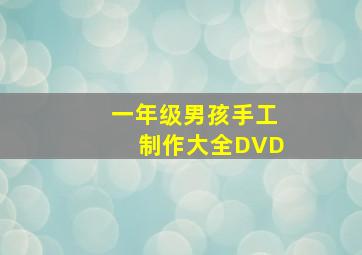 一年级男孩手工制作大全DVD