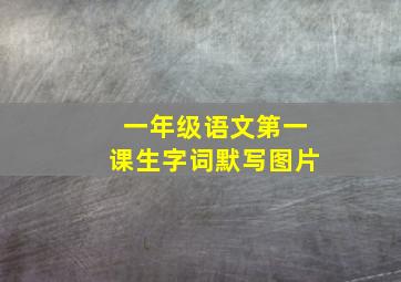 一年级语文第一课生字词默写图片