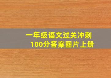 一年级语文过关冲刺100分答案图片上册