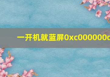 一开机就蓝屏0xc000000d