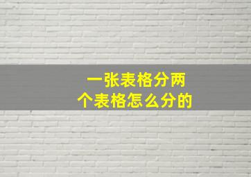 一张表格分两个表格怎么分的