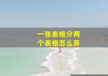 一张表格分两个表格怎么弄